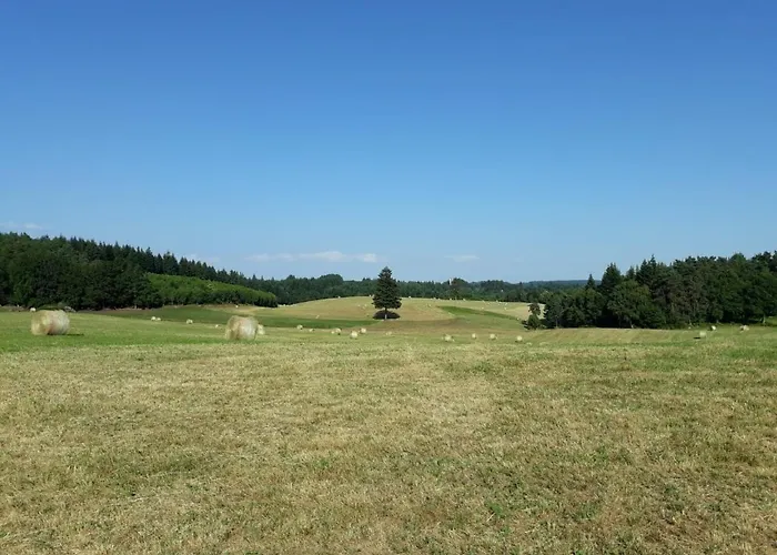 Le Parc Des 4 Saisons
