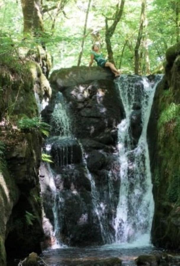 Bed & Breakfast Le Parc Des 4 Saisons 3*