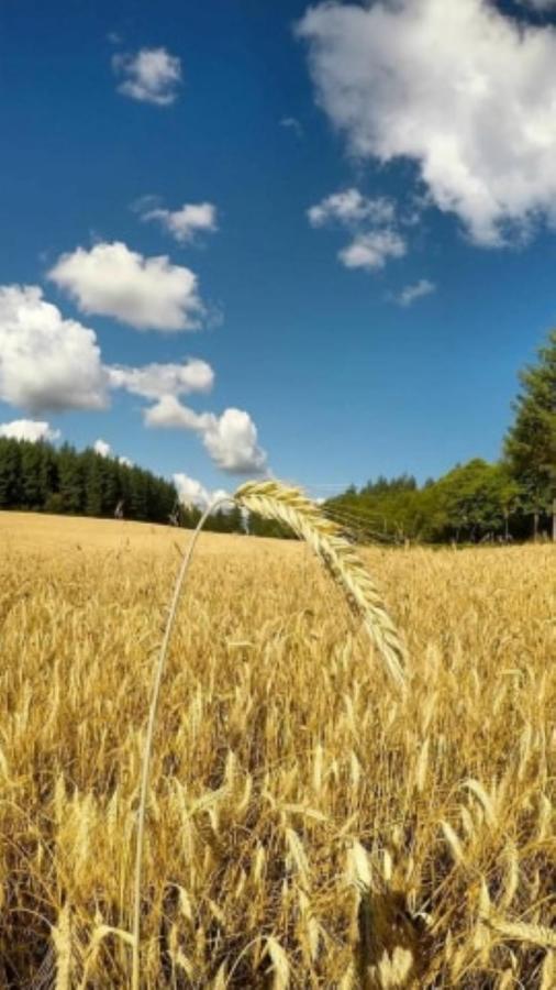 Bed & Breakfast Le Parc Des 4 Saisons 3*