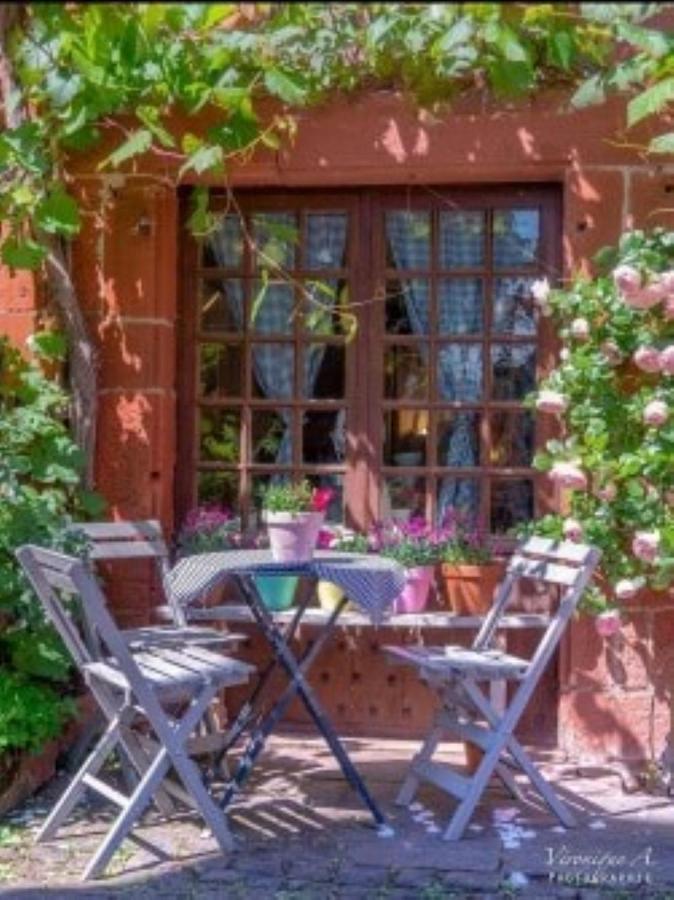 Le Parc Des 4 Saisons Bed & Breakfast Correze