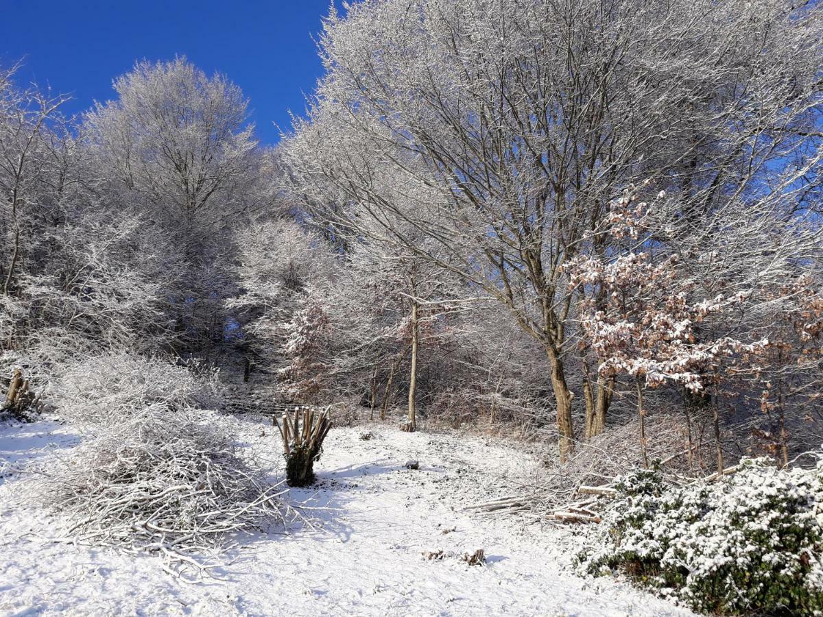 Le Parc Des 4 Saisons